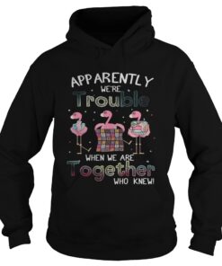 Apparently were trouble when we are together flamingo quilting Hoodie