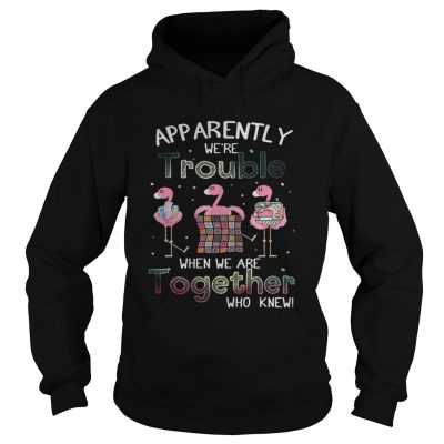 Apparently were trouble when we are together flamingo quilting Hoodie