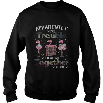 Apparently were trouble when we are together flamingo quilting Sweatshirt