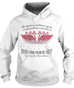 Ballet flamingo for the love of all that is good sincerely your dance teacher Hoodie