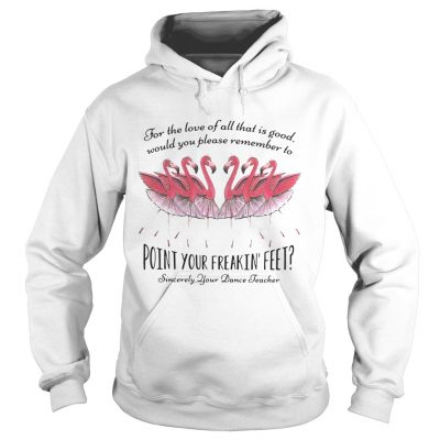 Ballet flamingo for the love of all that is good sincerely your dance teacher Hoodie