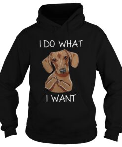 Dachshund I do what I want Hoodie