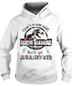 Dont Mess With Adoptive Mamasaurus Hoodie