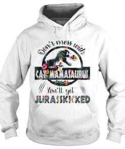 Dont Mess With Cat Mamasaurus Hoodie