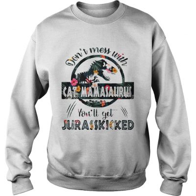 Dont Mess With Cat Mamasaurus Sweater