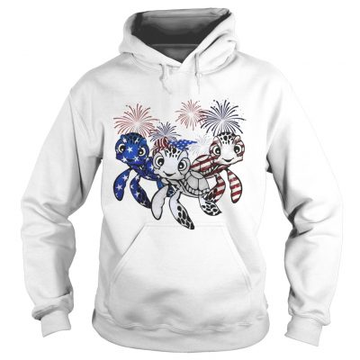 Firework American flag Turtles Hoodie