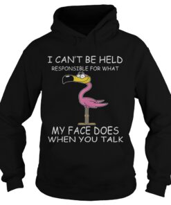 Flamingo I Cant Be Held Responsible For What My Face Does When You Talk Hoodie