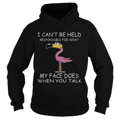 Flamingo I Cant Be Held Responsible For What My Face Does When You Talk Hoodie