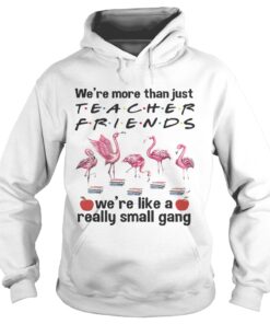Flamingo Were more than just teacher friends were like a really small gang Hoodie