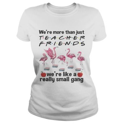 Flamingo Were more than just teacher friends were like a really small gang Ladies tee