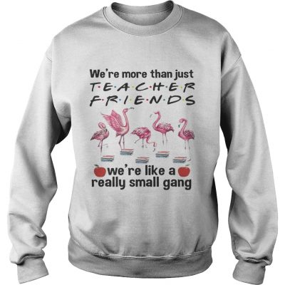 Flamingo Were more than just teacher friends were like a really small gang Sweatshirt
