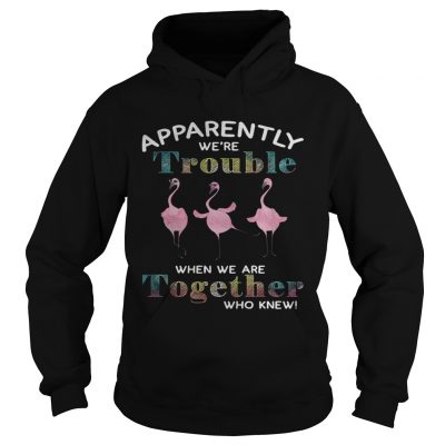 Flamingo apparently were trouble when we are together who knew Hoodie