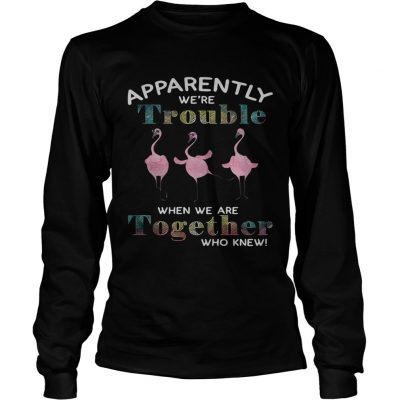 Flamingo apparently were trouble when we are together who knew Longsleeve Tee
