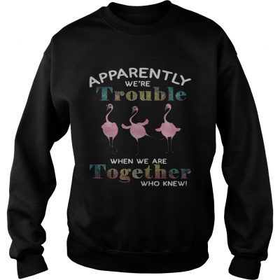 Flamingo apparently were trouble when we are together who knew Sweater
