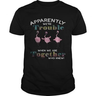 Flamingo apparently were trouble when we are together who knew Unisex Shirt