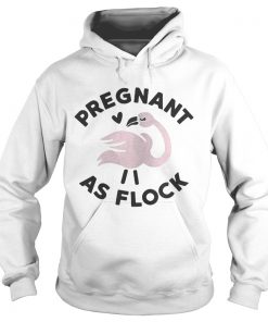 Flamingo pregnant as flock Hoodie