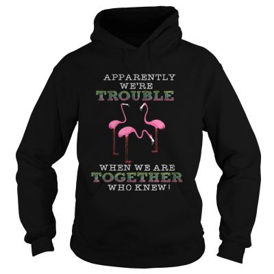 FlamingoApparently Were Trouble When We Are Together Hoodie