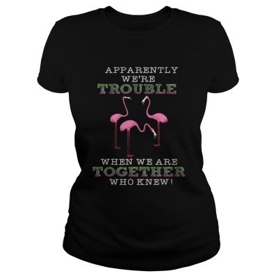 FlamingoApparently Were Trouble When We Are Together Ladies Tee