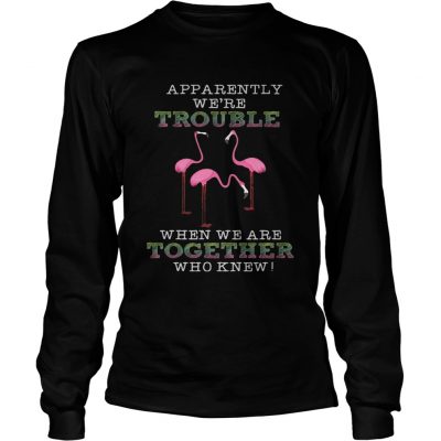 FlamingoApparently Were Trouble When We Are Together Longsleeve Tee