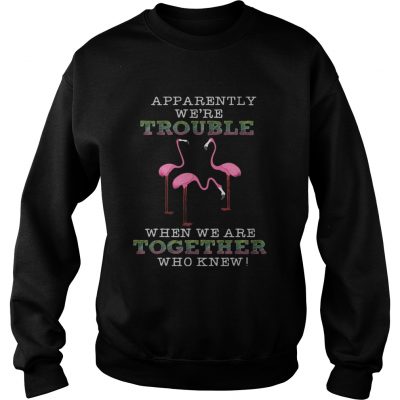 FlamingoApparently Were Trouble When We Are Together Sweater