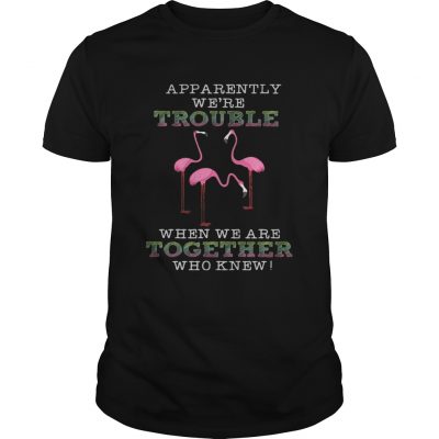 FlamingoApparently Were Trouble When We Are Together Unisex Shirt