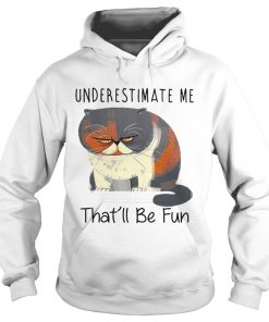 Grumpy Cat Underestimate me thatll be fun Hoodie