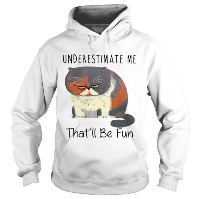 Grumpy Cat Underestimate me thatll be fun Hoodie