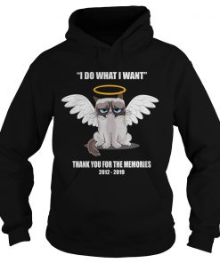 Grumpy cat i do what I want thank you for the memories Hoodie