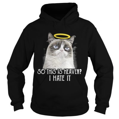 Grumpy cat so this is heaven I hate it Hoodie