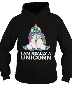 I am really a Unicorn Hoodie