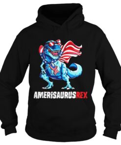 Independence Day 4th July Amerisaurus Trex Hoodie