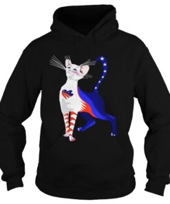 Independence Day Cat Flag America Hoodie