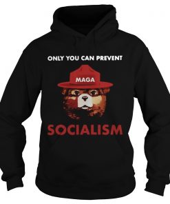 Only you can prevent socialism Hoodie