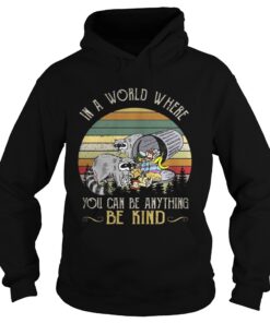 Racoon in a world where you can be anything be kind sunset Hoodie