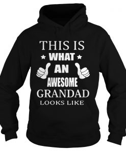 This is what an awesome grandad looks like Hoodie