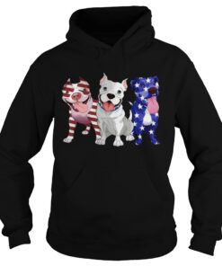 Three Pitbull American Flag Hoodie