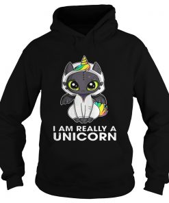 Toothless I am really a Unicorn Hoodie