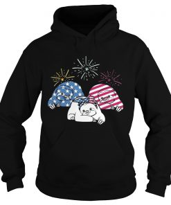 American Flag Sloths For Independence Day Funny Hoodie