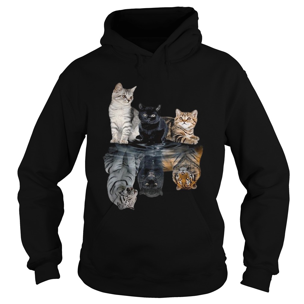 Cats always believe in yourself Hoodie