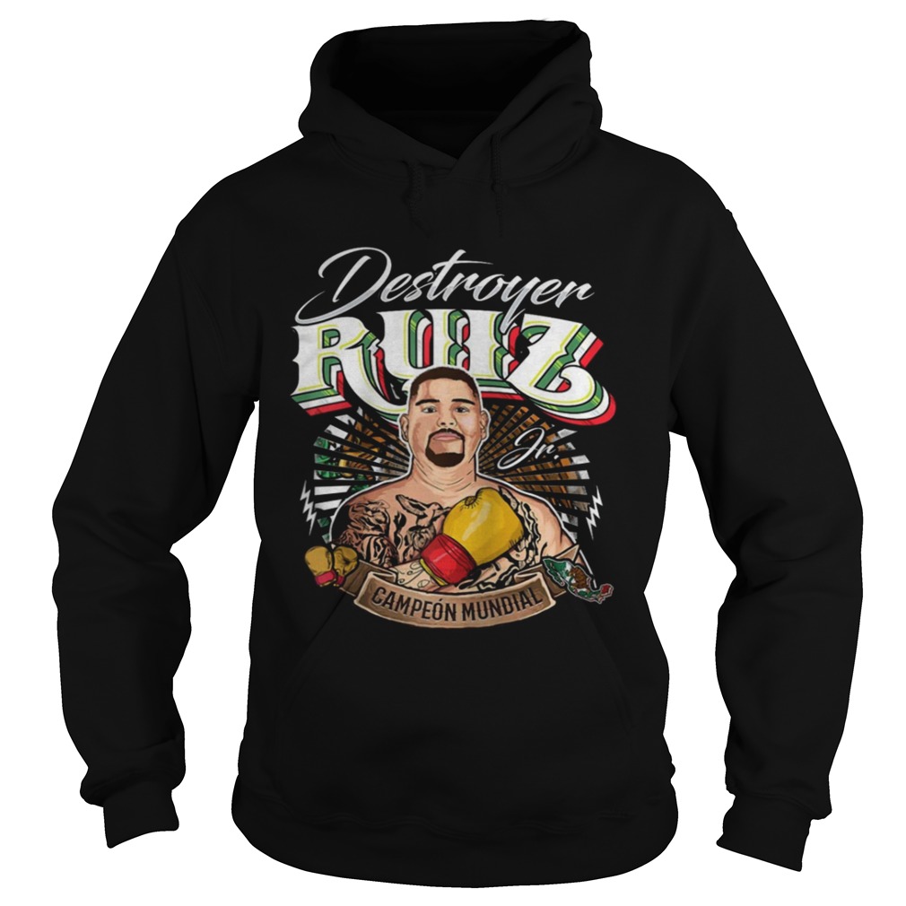 Destroyer Ruiz Jr world champion Hoodie