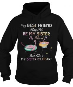 Flamingo my best friend may not be my sister by blood Hoodie