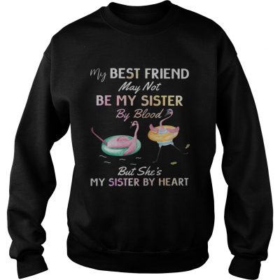 Flamingo my best friend may not be my sister by blood Sweatshirt