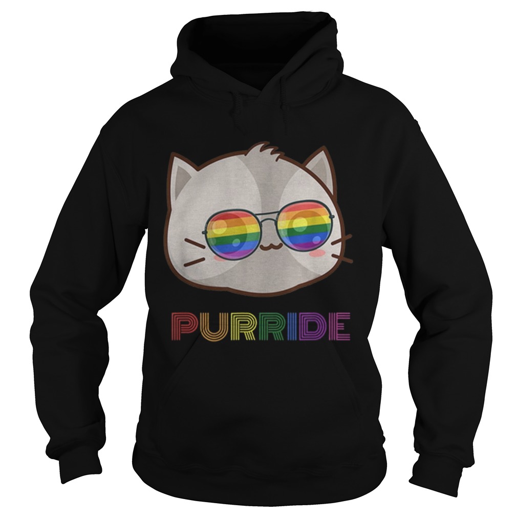 Original LGBT Gay Purride Pride Sunglasses And Hoodie
