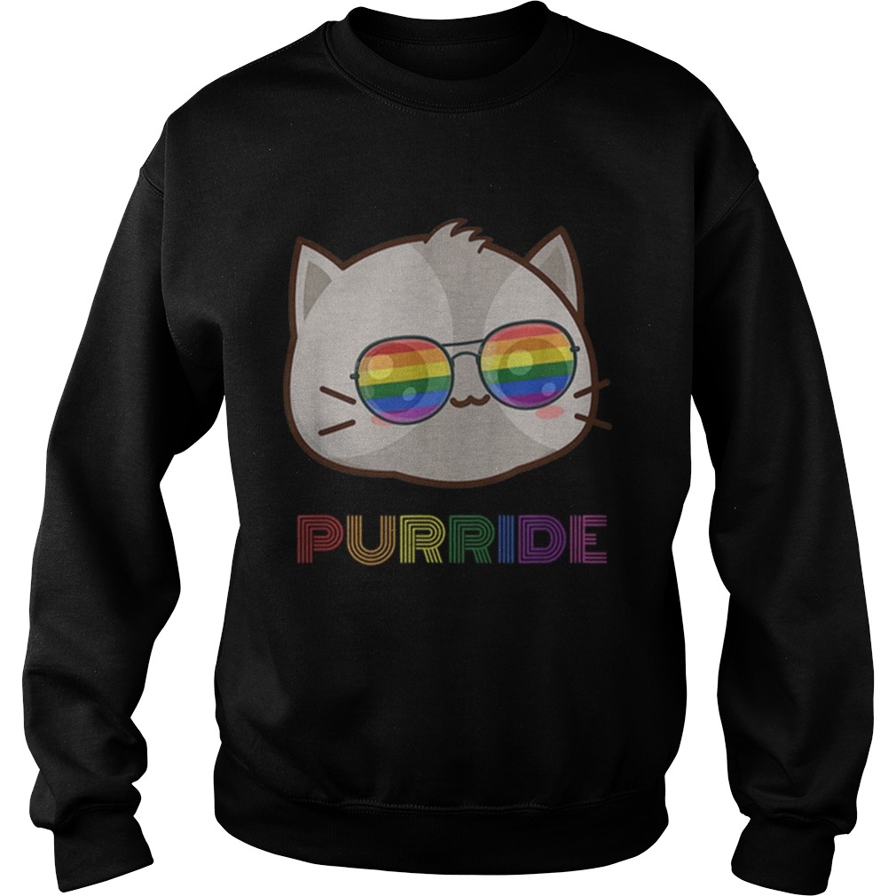 Original LGBT Gay Purride Pride Sunglasses And Sweatshirt