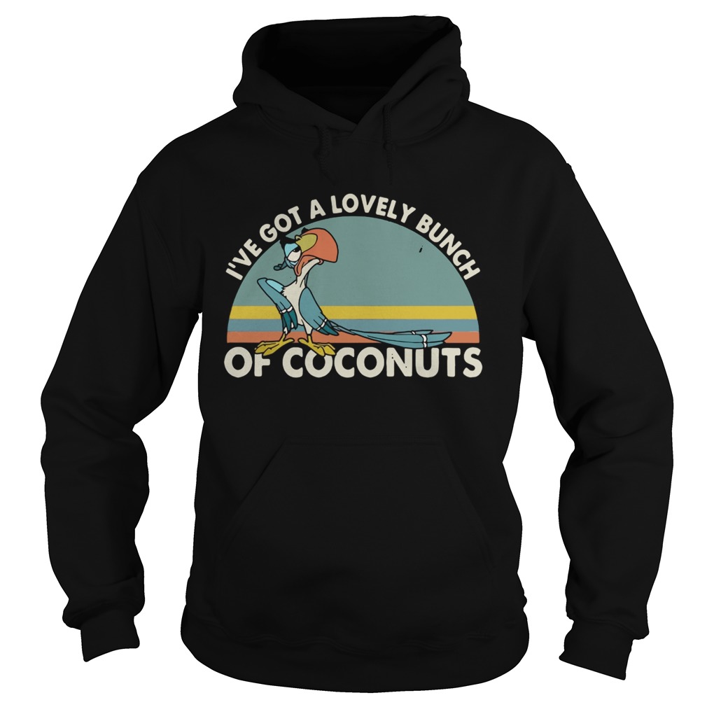ParrotIve got a lovely bunch of coconuts retro Hoodie