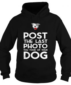 Pitbull postthe last photo you took of your dog Hoodie