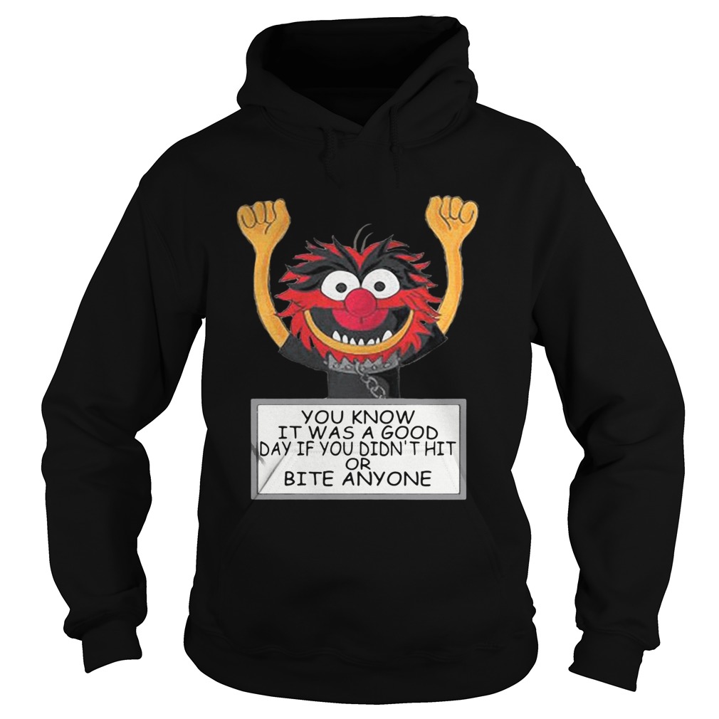 The Muppets you know it was a good day if you didnt hit or bite Hoodie