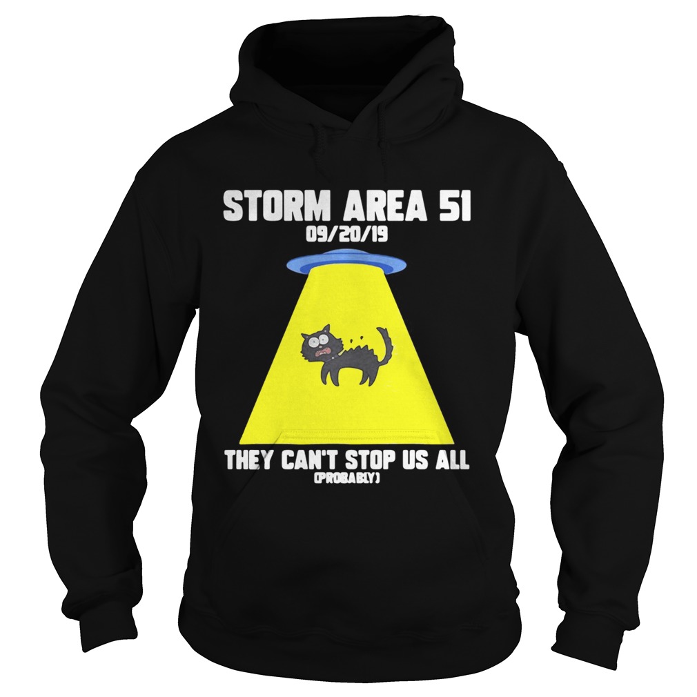 Cat Storm Area 51 they cant stop us all Hoodie