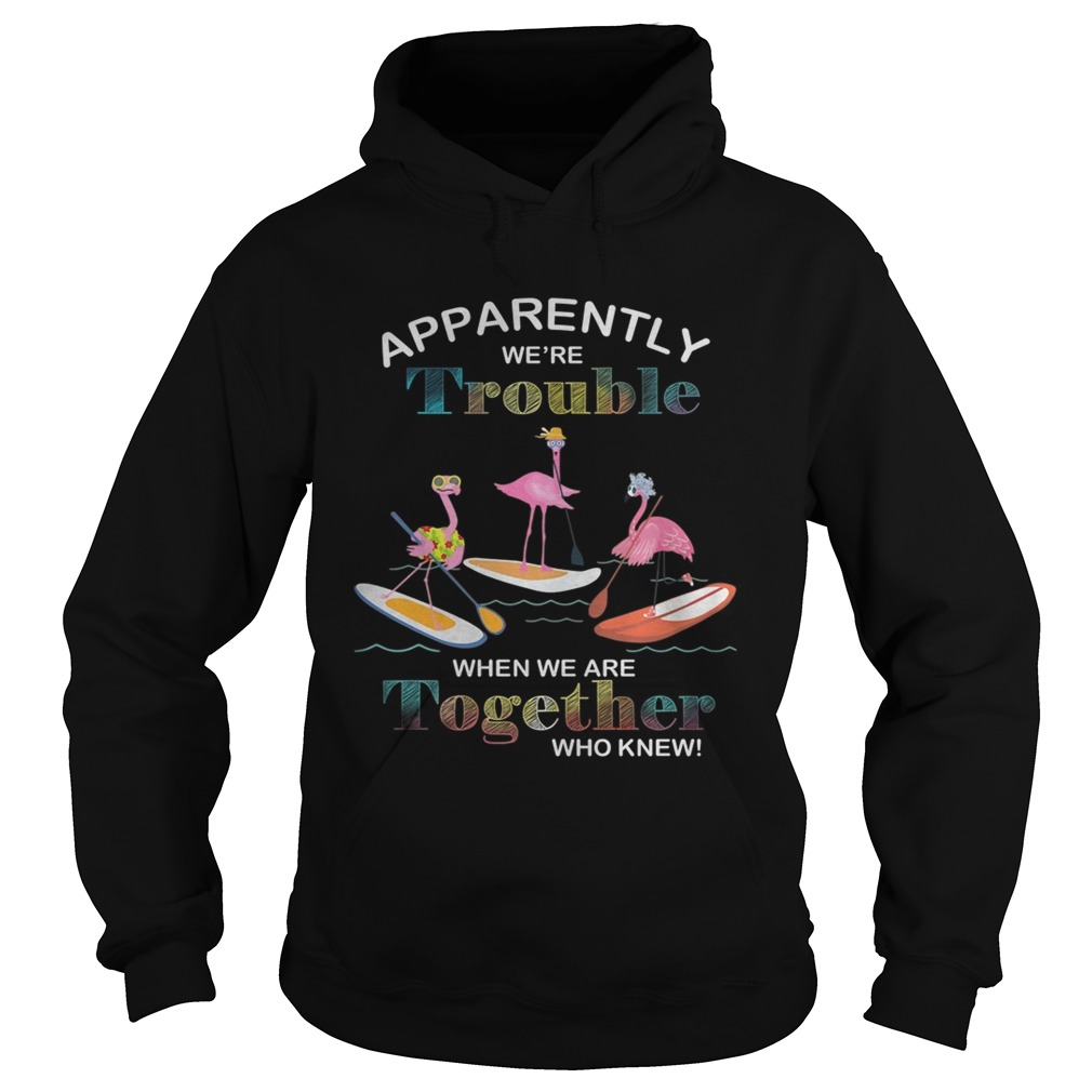 Flamingo surfing apparently were trouble when we are together Hoodie