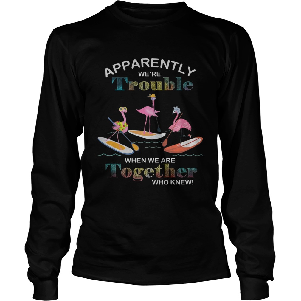 Flamingo surfing apparently were trouble when we are together LongSleeve